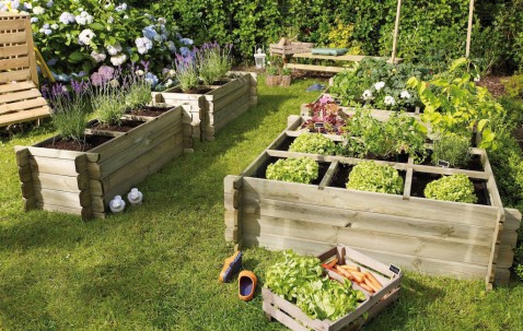Foto : Maak van je eigen tuin een makkelijke moestuin